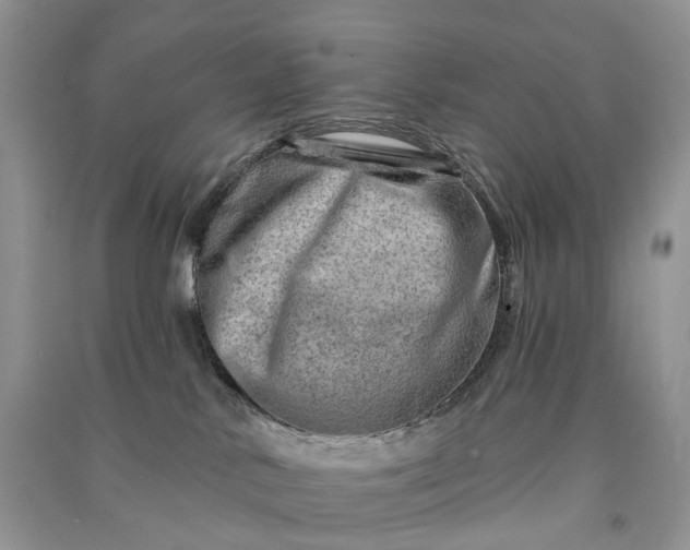 X0000090930042200708131503