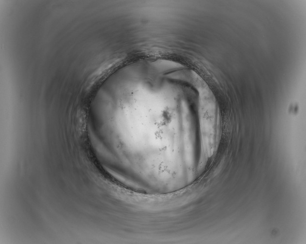 X0000090930043200708131503