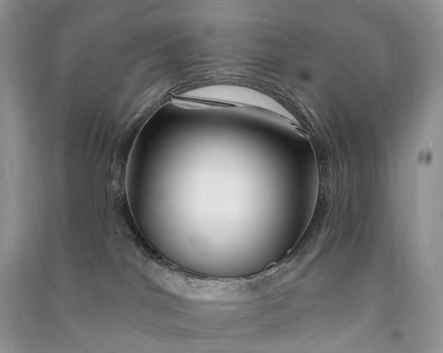 X0000090930044200708131503