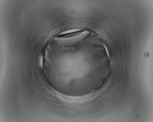 X0000090930046200708131502