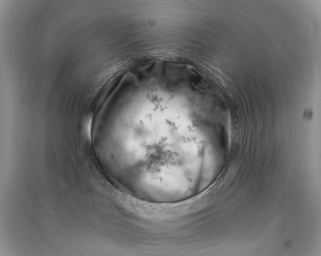 X0000090930047200708131502