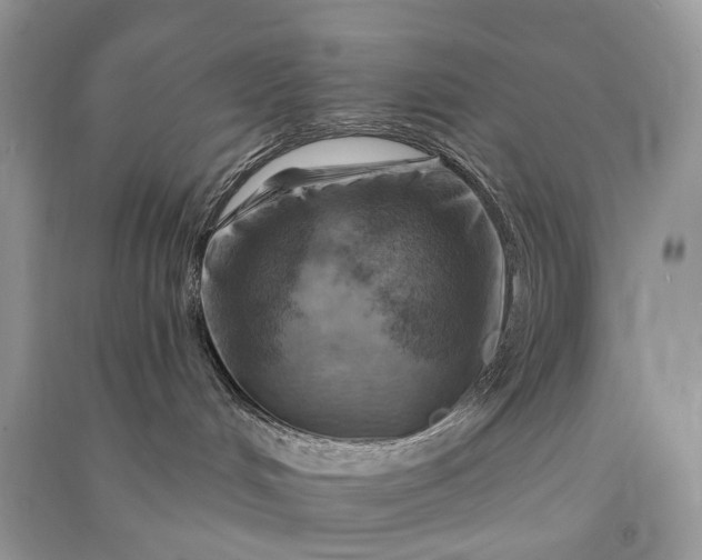 X0000090930048200708131502