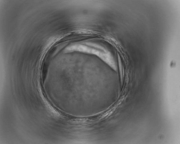 X0000090930049200708131502