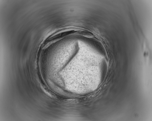 X0000090930050200708131502