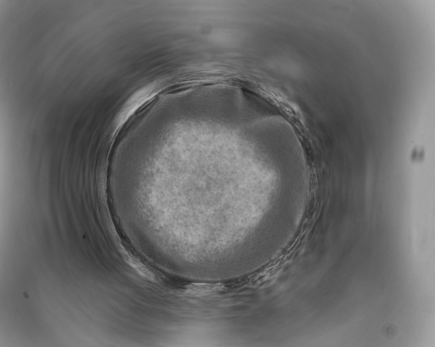 X0000090930051200708131502