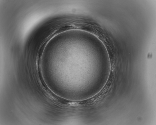 X0000090930052200708131502