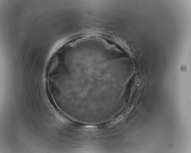 X0000090930053200708131502