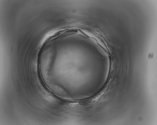 X0000090930054200708131502