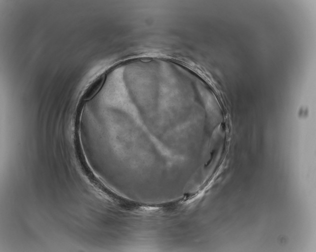 X0000090930055200708131502