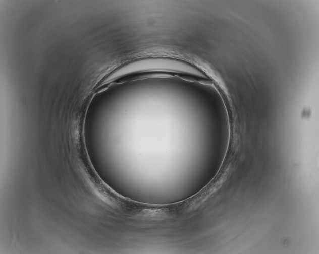 X0000090930057200708131502