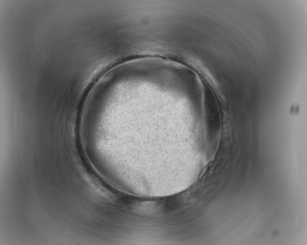 X0000090930058200708131502