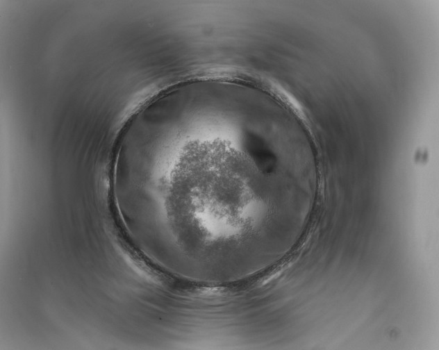 X0000090930059200708131502