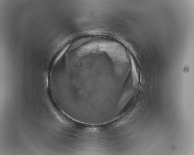 X0000090930061200708131502