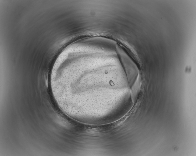 X0000090930062200708131502