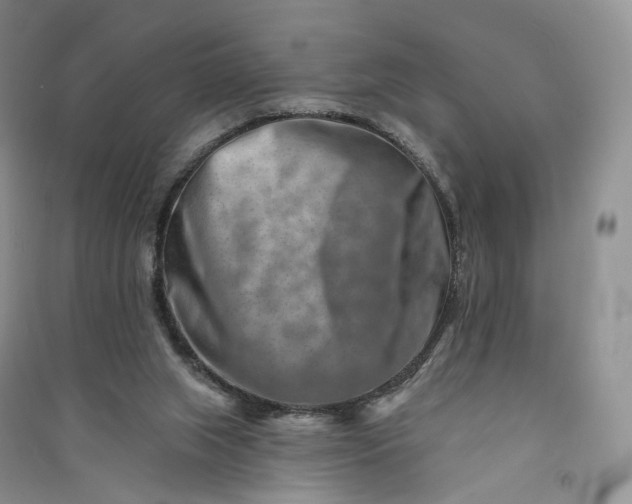 X0000090930063200708131502