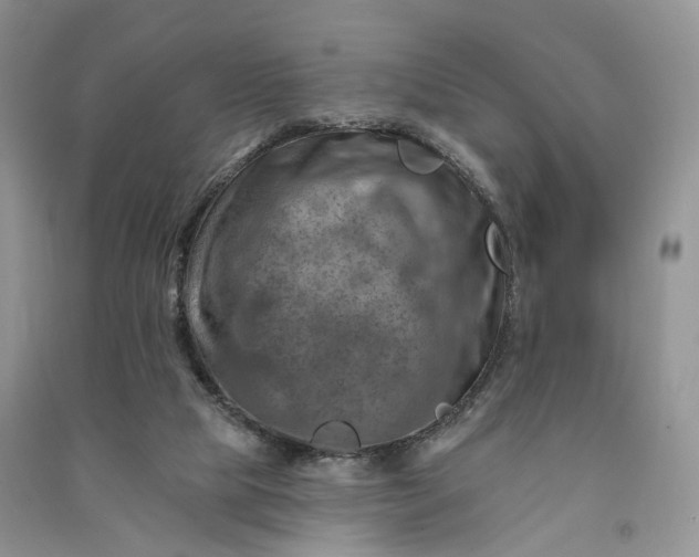 X0000090930065200708131502