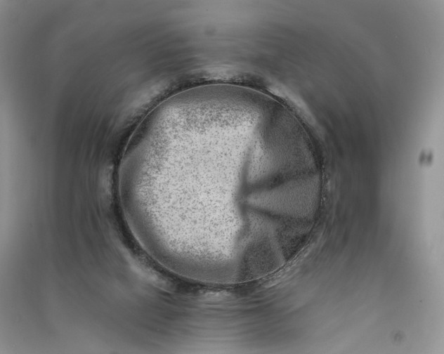 X0000090930066200708131502