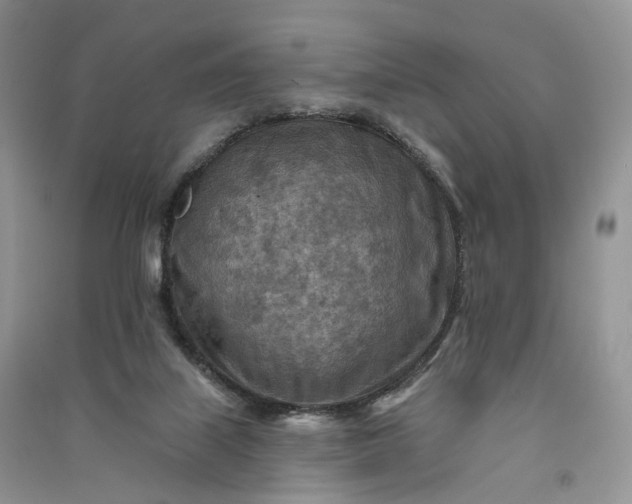 X0000090930067200708131502