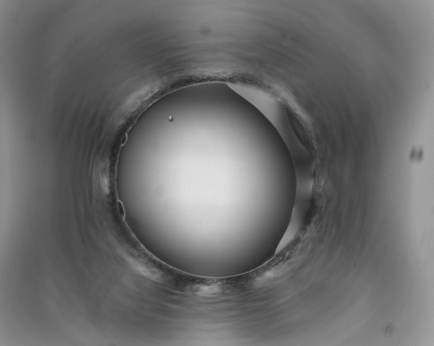 X0000090930068200708131502