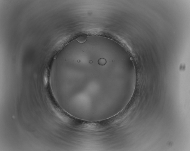 X0000090930069200708131502