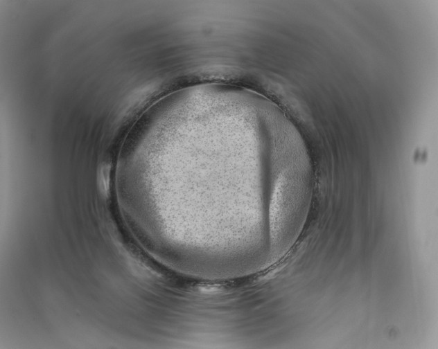 X0000090930070200708131502