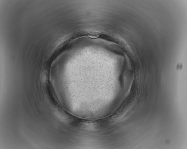 X0000090930071200708131502