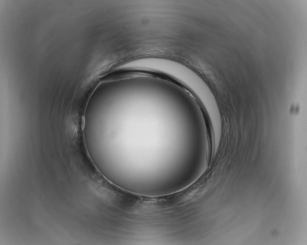 X0000090930072200708131502