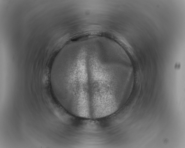 X0000090930073200708131502