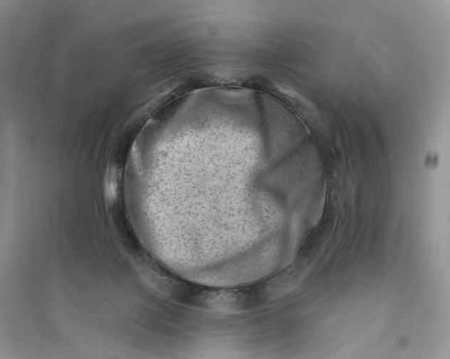 X0000090930075200708131502