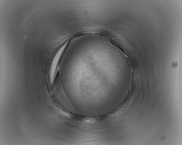 X0000090930076200708131502