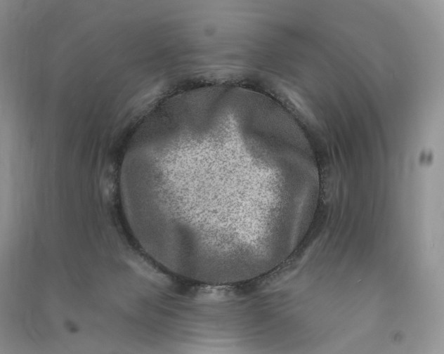 X0000090930077200708131502