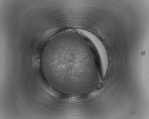 X0000090930080200708131502