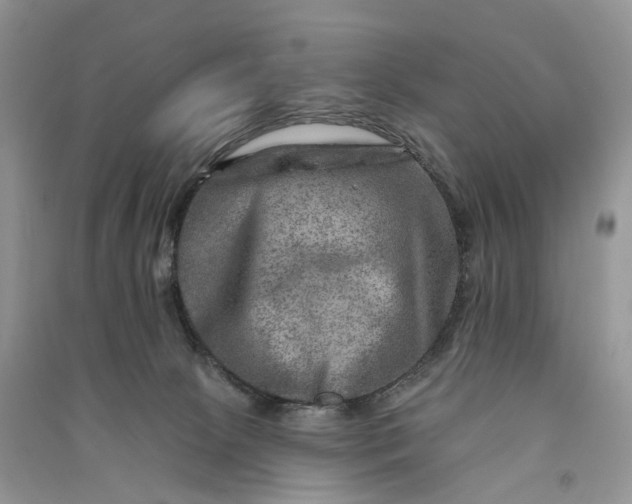 X0000090930081200708131502