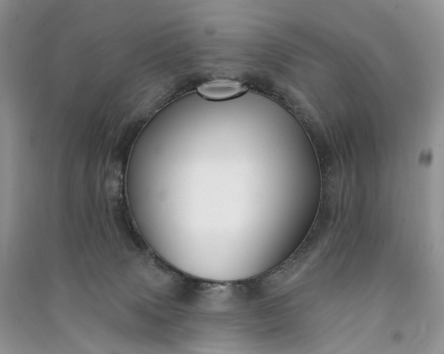 X0000090930083200708131502