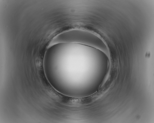 X0000090930084200708131502