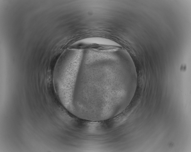 X0000090930085200708131502