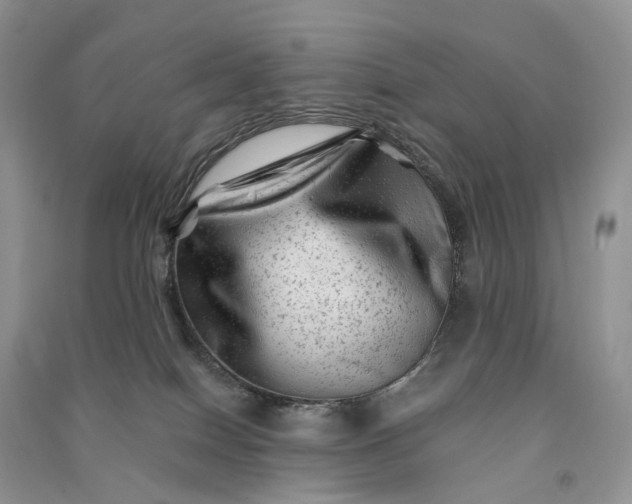 X0000090930086200708131502