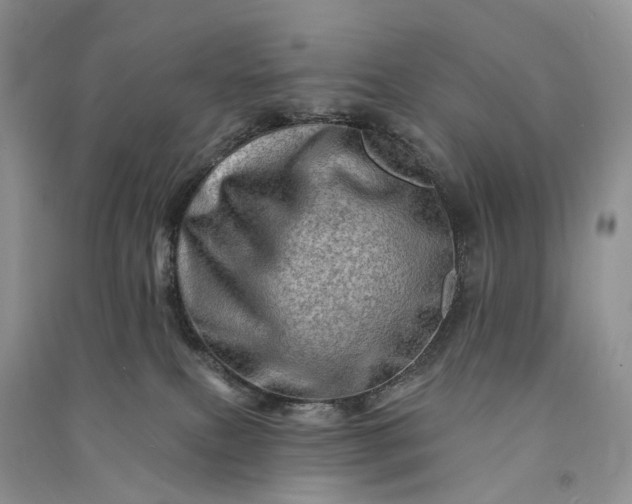 X0000090930087200708131502