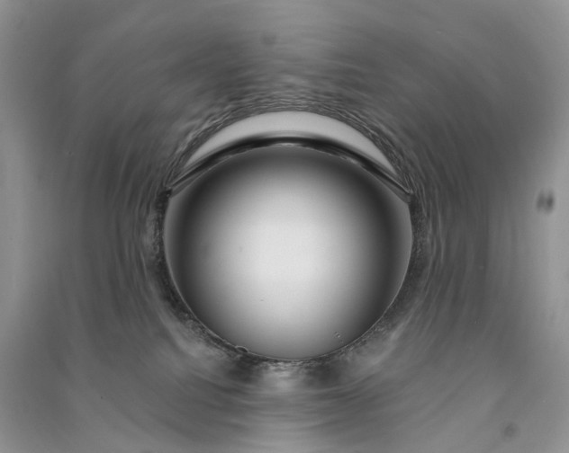 X0000090930088200708131502