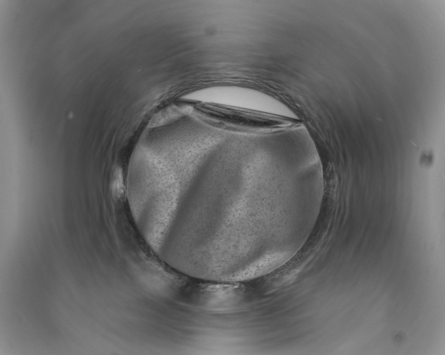 X0000090930089200708131502