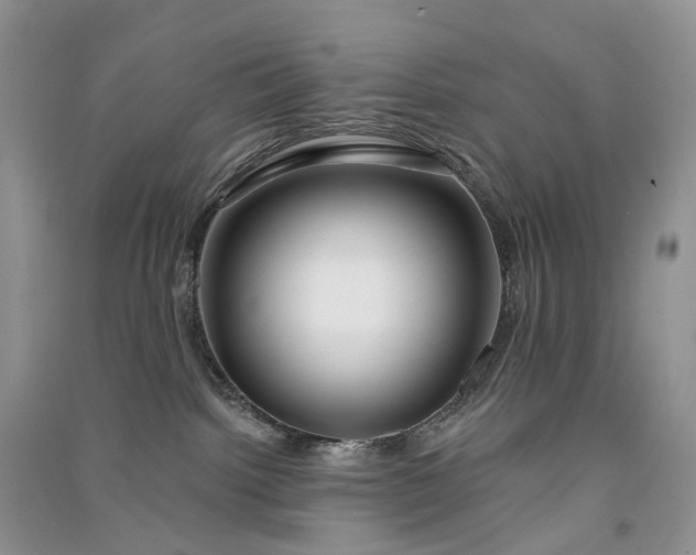 X0000090930092200708131502