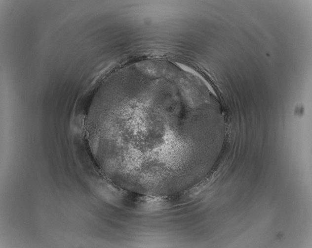 X0000090930093200708131502