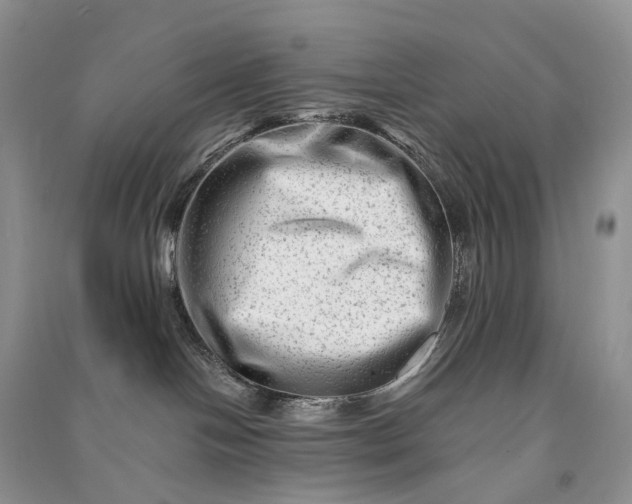 X0000090930094200708131502