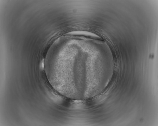 X0000090930095200708131502