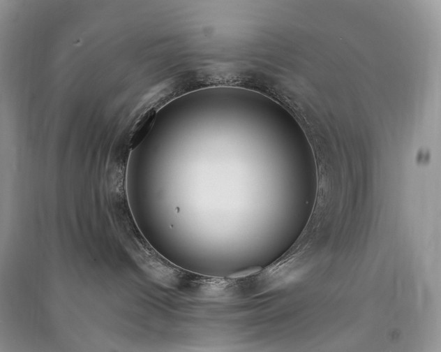 X0000090930096200708131502