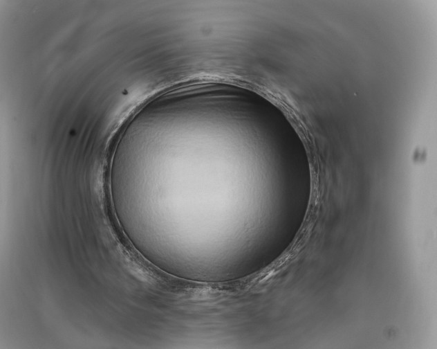 X0000090930098200708131502