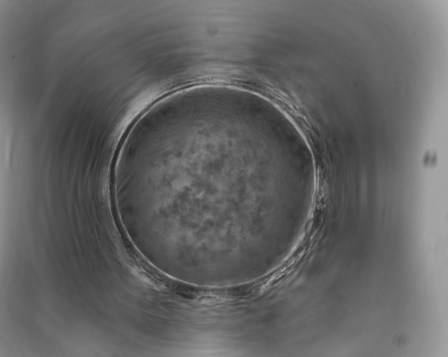 X0000090930099200708131502