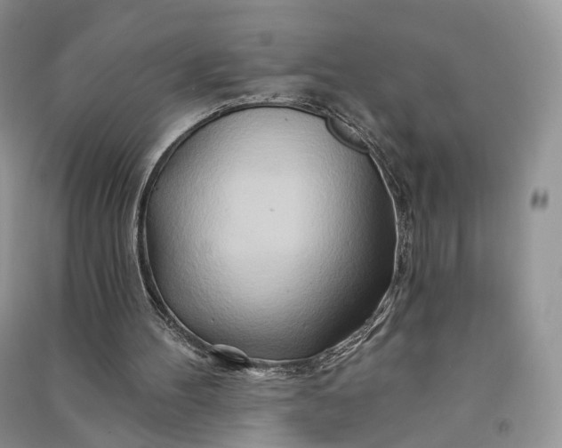 X0000090930100200708131502