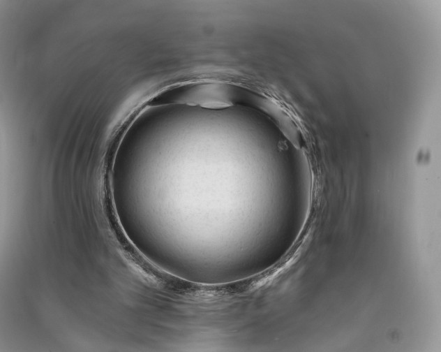 X0000090930101200708131502