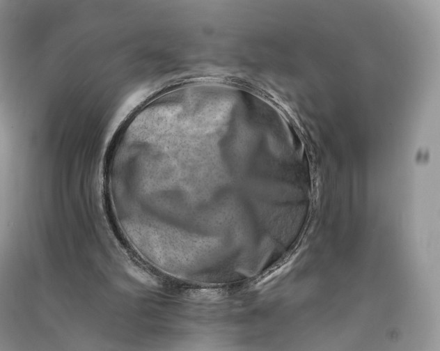 X0000090930102200708131502